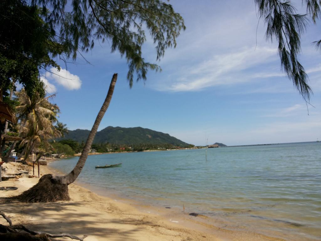 Abc Bungalow Baan Tai Luaran gambar
